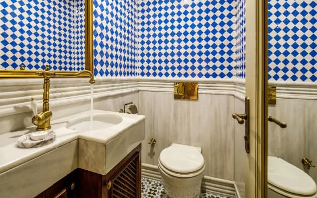 Hagia Sofia Mansions Istanbul Hotel, Curio Collection by Hilton  - photo 12