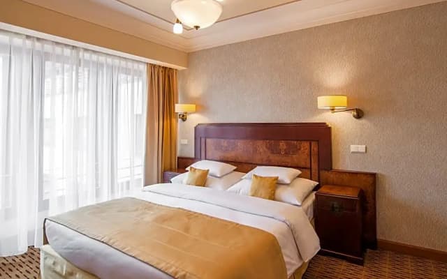 Majestic Plaza Hotel Prague - photo 4
