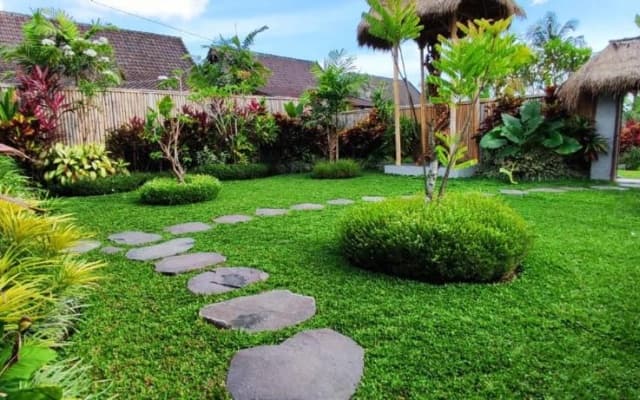 Green Coconut Cottage - photo 25