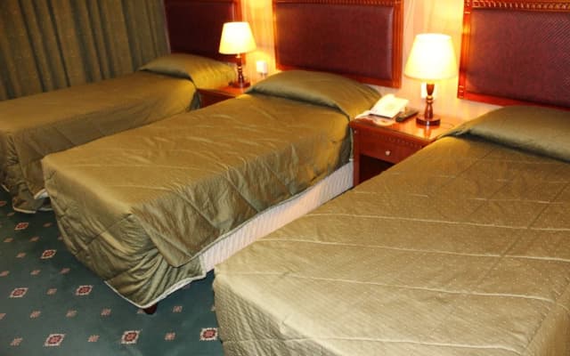 Mount Royal Hotel - photo 2