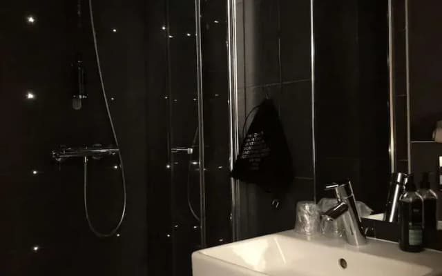 Hôtel le Dauphin - photo 7