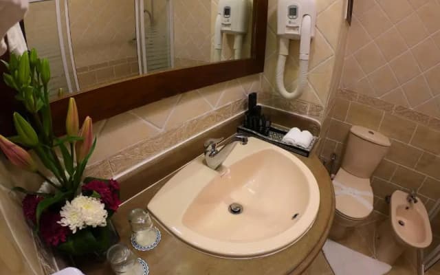Oriental Rivoli Hotel & SPA - photo 3