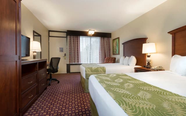Rosen Inn International - photo 3