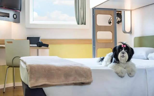 ibis budget Saint Maurice Hotel - photo 2