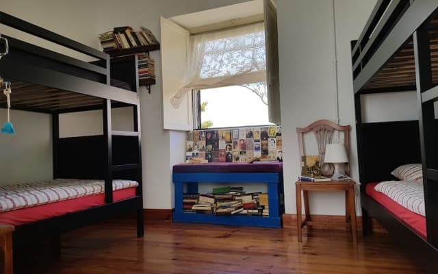 Ratones de Biblioteca - Hostel - photo 3