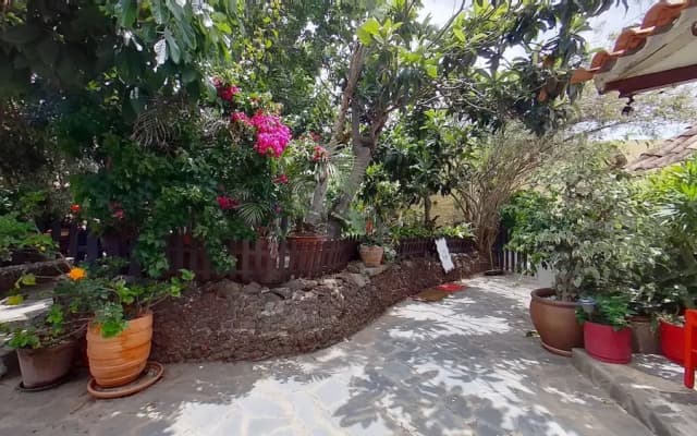 Charming 1-bed House in La Laguna - photo 27