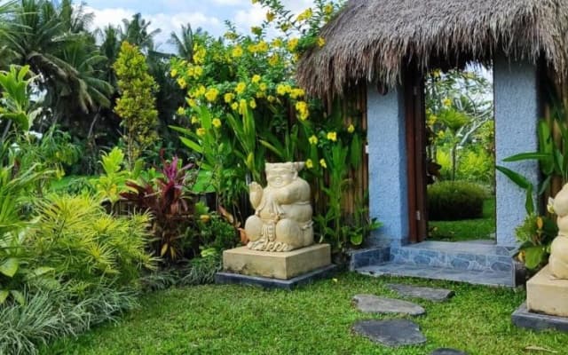 Green Coconut Cottage - photo 3