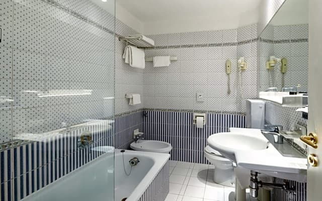 Hotel Plaza Venice - photo 4