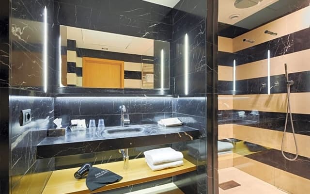 Hotel Plaza Venice - photo 3