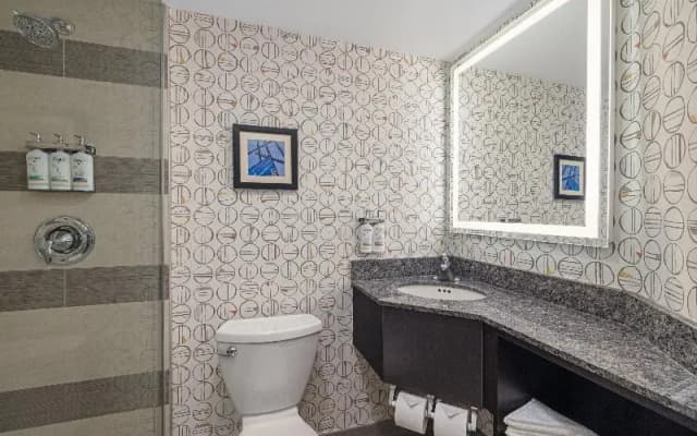 Holiday Inn Toronto Downtown Centre by IHG - photo 4