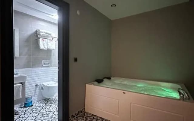 Intercity Airport Hotel - photo 4