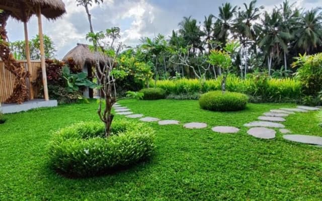 Green Coconut Cottage - photo 24