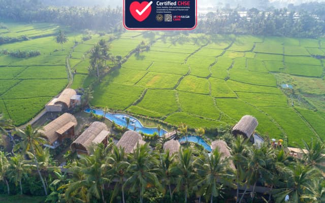 Beehouse Dijiwa Ubud - photo 8