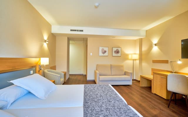 Hotel Guadalmedina - photo 4