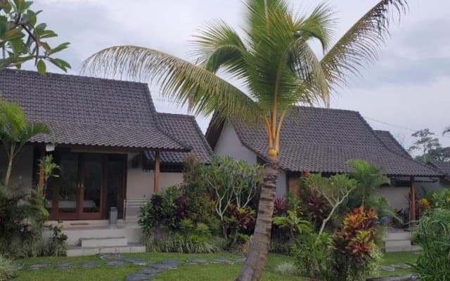 Green Coconut Cottage - photo 12