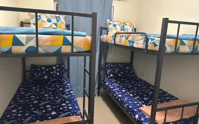 Palm Inn Hostel Mix Dormitory - photo 5