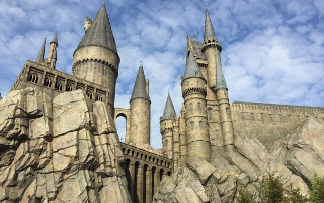 Grand Hotel Orlando at Universal Blvd - Shuttle to Theme Parks - photo 1