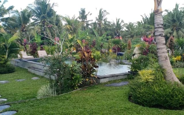 Green Coconut Cottage - photo 3