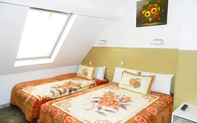 Paris Star Hotel  - photo 4