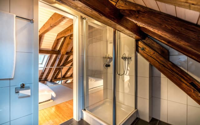 Le Bijou Lintheschergasse 23 Zurich HB - photo 8