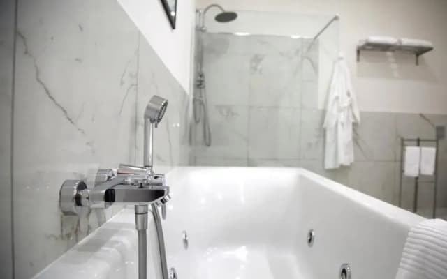 Stelle Hotel The Businest - photo 5