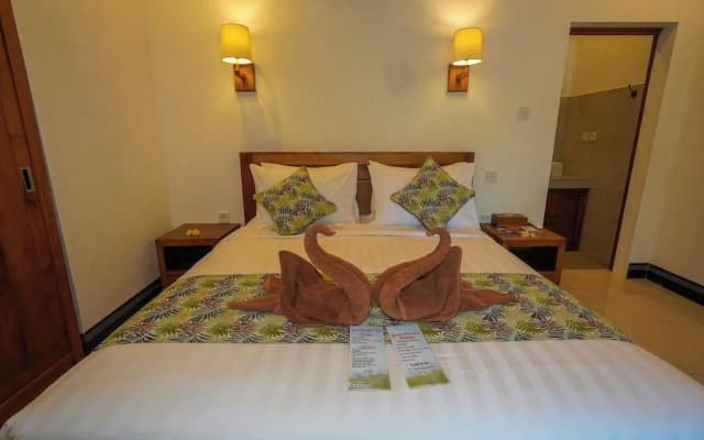 Green Coconut Cottage - photo 31
