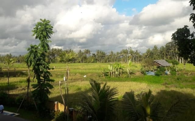 Villa Uma Dangin - photo 12