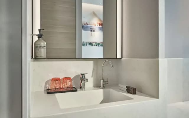 Mercure ICON Singapore City Centre - photo 6