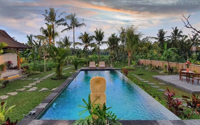 Green Coconut Cottage - photo 3