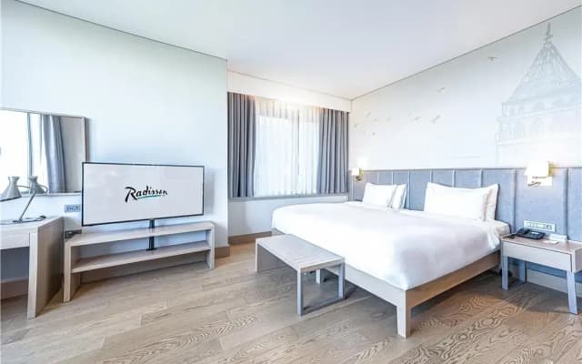 Radisson Hotel Istanbul Harbiye - photo 2