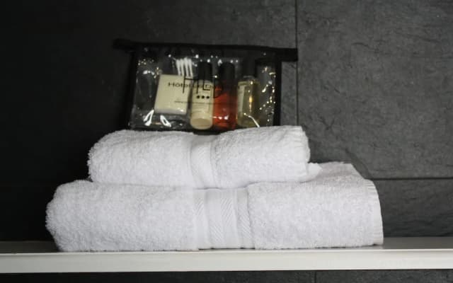 Hôtel le Dauphin - photo 14