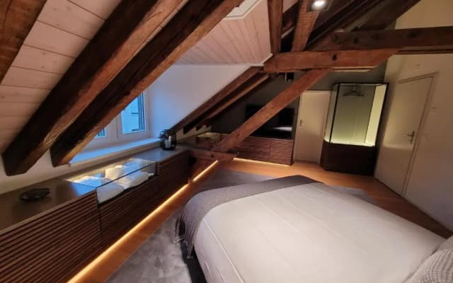 Le Bijou Lintheschergasse 23 Zurich HB - photo 9