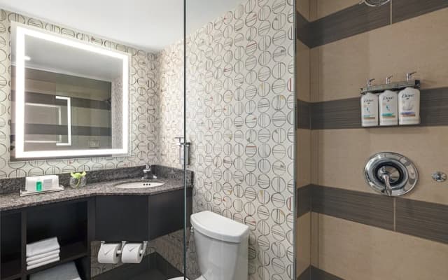 Holiday Inn Toronto Downtown Centre by IHG - photo 6