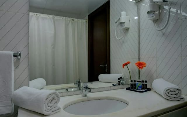 VIP Executive Zurique Hotel - photo 5