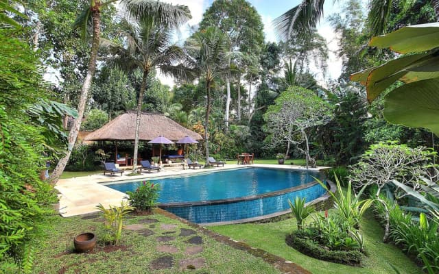 Villa Alamanda - photo 11