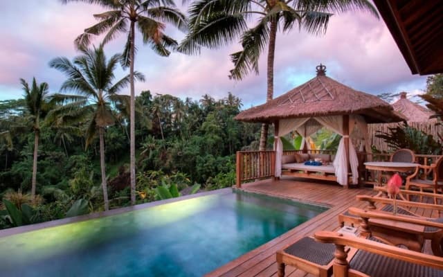 Natya Resort Ubud - photo 4
