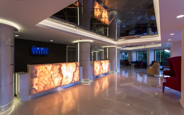 Falcon Hotel - photo 5