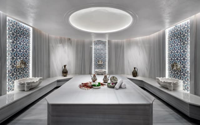 Crowne Plaza Istanbul Ortakoy Bosphorus, an IHG Hotel - photo 8