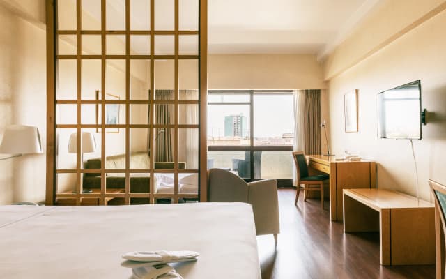 Hotel Roma - photo 6