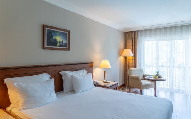 IC Hotels Airport - photo 5