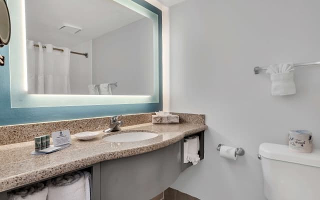 Best Western Orlando Gateway Hotel - photo 4