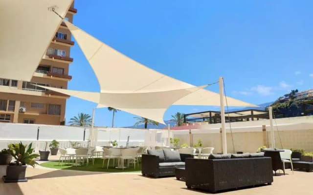 Checkin Concordia Playa - photo 3