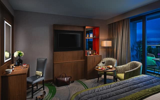 Carlton Hotel Dublin Airport Hotel - photo 3