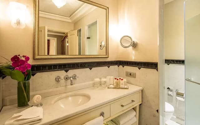 Pera Palace Hotel - photo 3