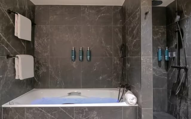 Hilton Paris La Defense Hotel - photo 5