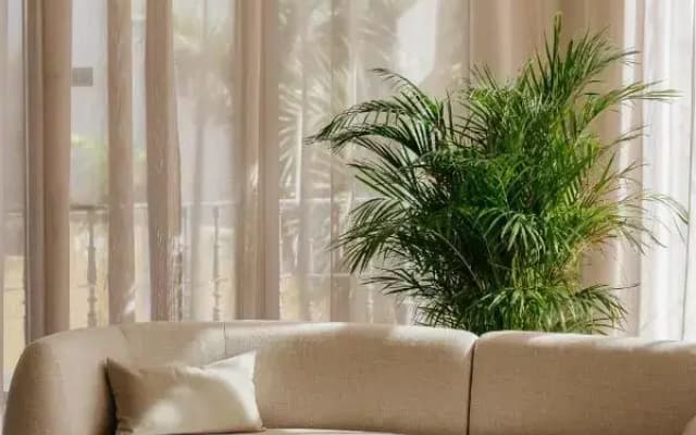 Reveron Plaza - photo 5