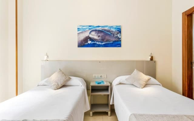 Hotel Andrea's - photo 5
