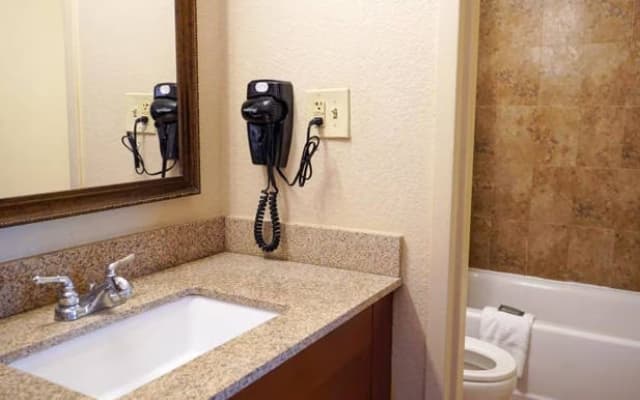 Rosen Inn International - photo 4