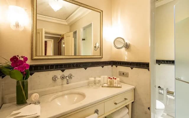 Pera Palace Hotel - photo 4