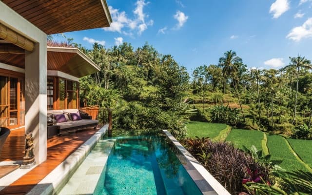 Four Seasons Resort Bali at Sayan - photo 4